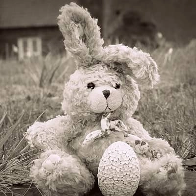 エビウサギさん