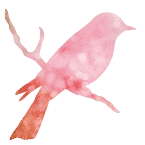 佐々木里香さん